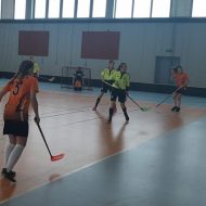Więcej o: Komunikat końcowy półfinału A Wielkopolskiej Ligi Unihokeja 2019/2020 juniorek młodszych